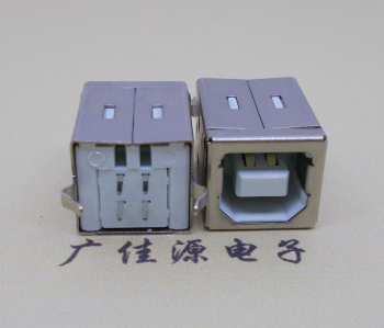 河源USB BF180度母座 打印机接口 立式直插带赛