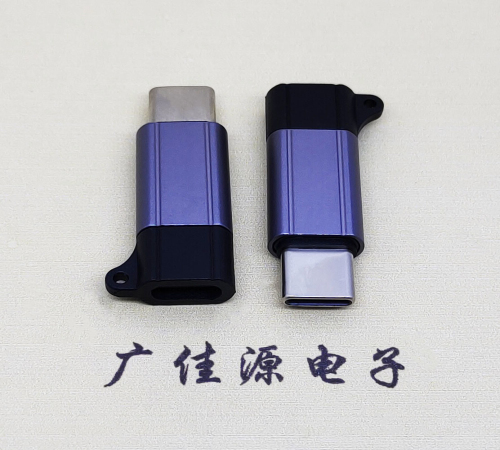 河源Type-C母转Type-C公 USB3.1 PD100W快冲接口